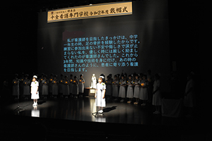 戴帽式